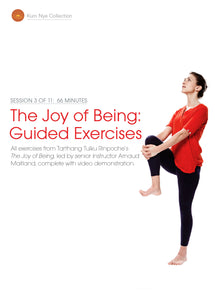 The Joy of Being: 41 Guided Exercises