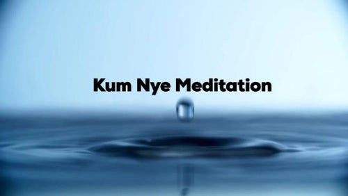 Kum Nye Meditation, Level One, Self-study Video Program