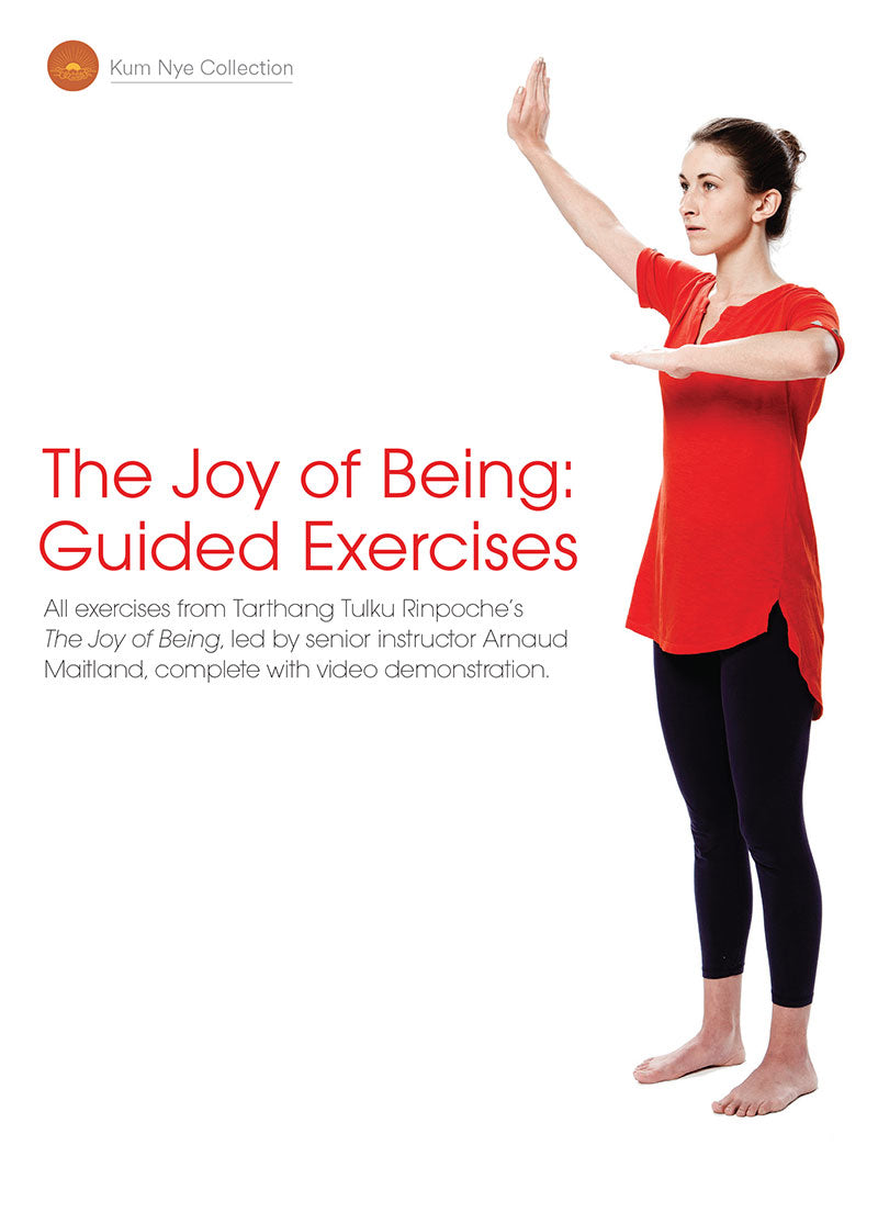 The Joy of Being; Guided Exercises, Session 8