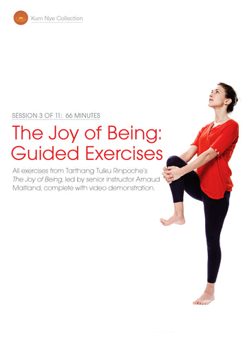 The Joy of Being; Guided Exercises, Session 3