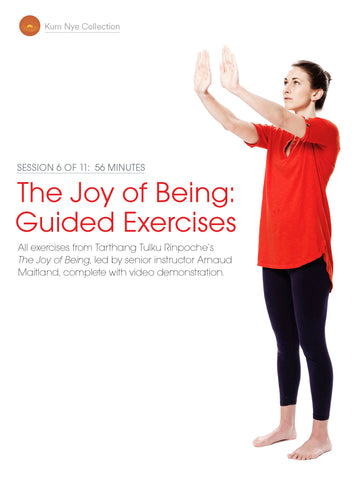 The Joy of Being; Guided Exercises, Session 6
