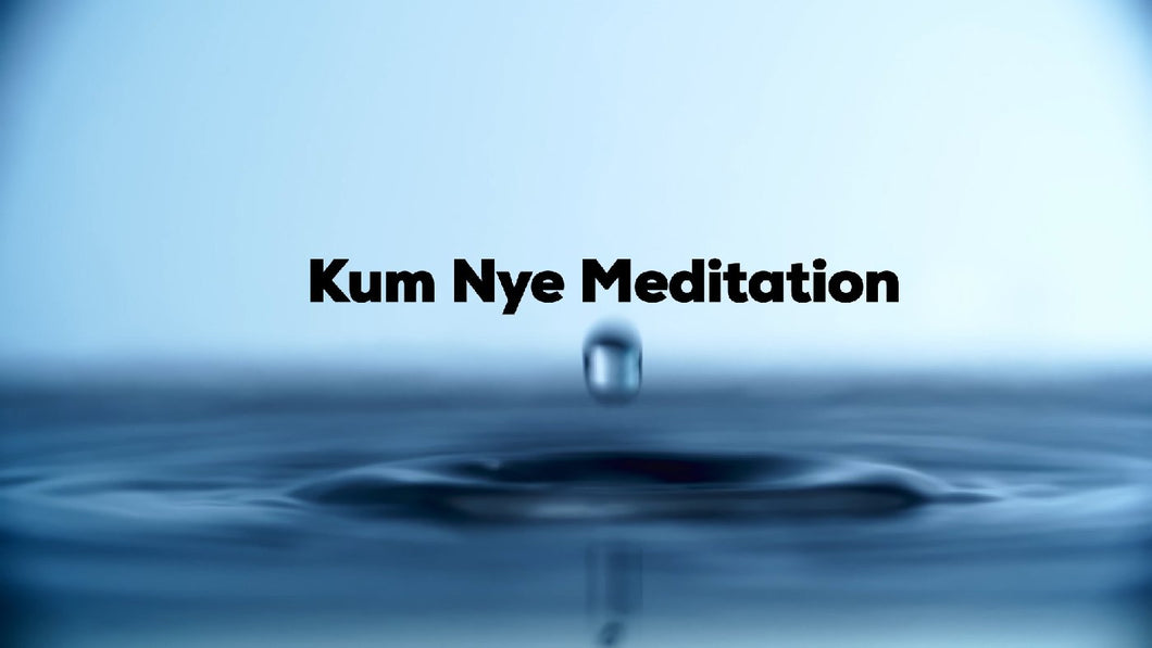 Kum Nye Meditation, Level 3, Session 1, FREE