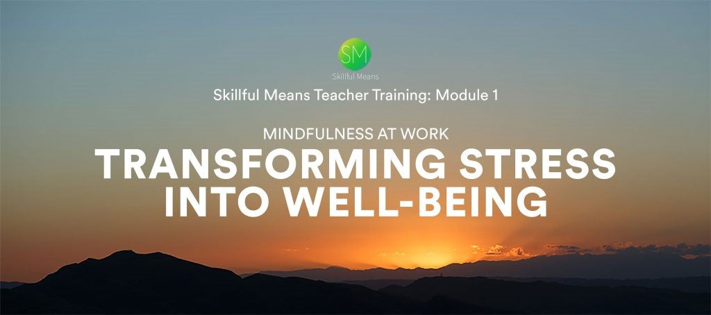 Skillful Means, Module One, Transforming Stress into Well-being, Self-study Video Program